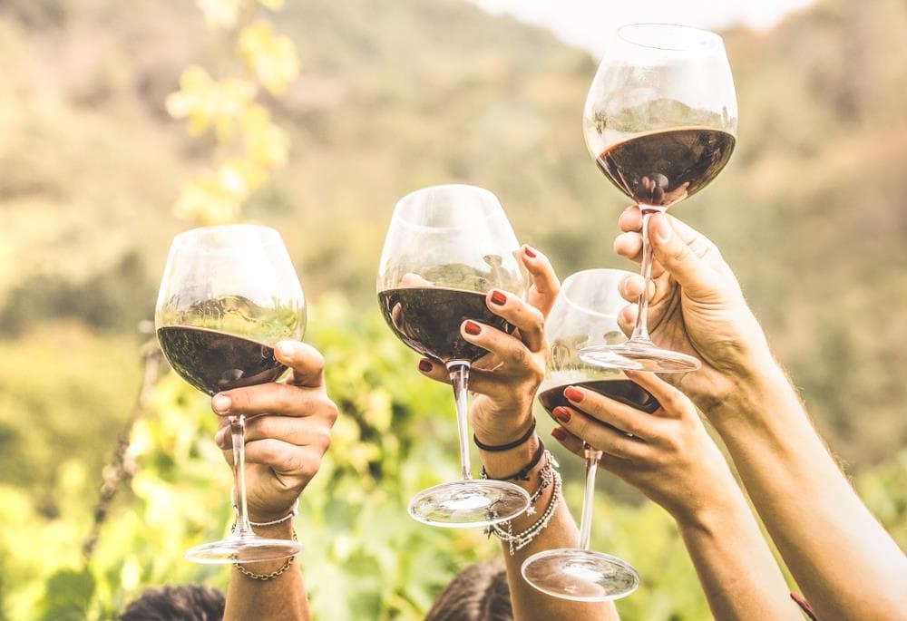 Descubre las experiencias vinícolas de Pilares de Belesar