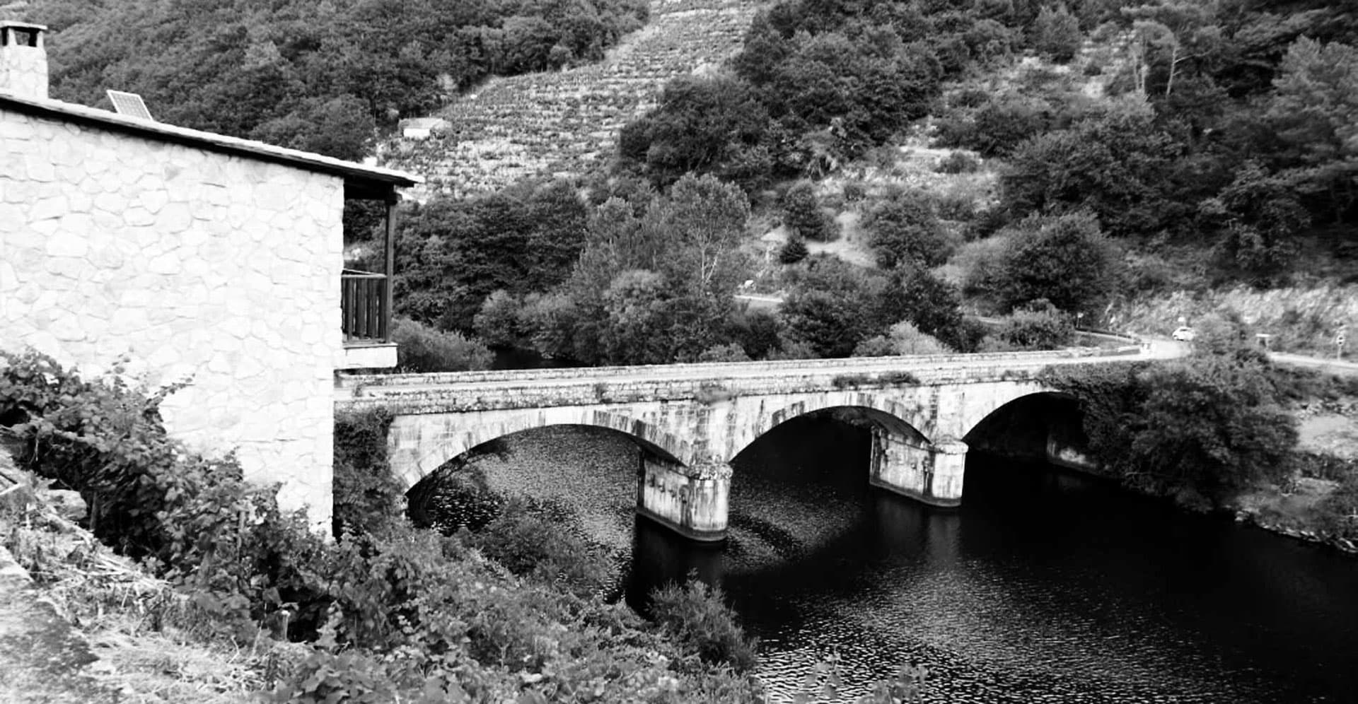 ¿Todavía no has probado nuestro vino Asolagados? ¡Llámanos!