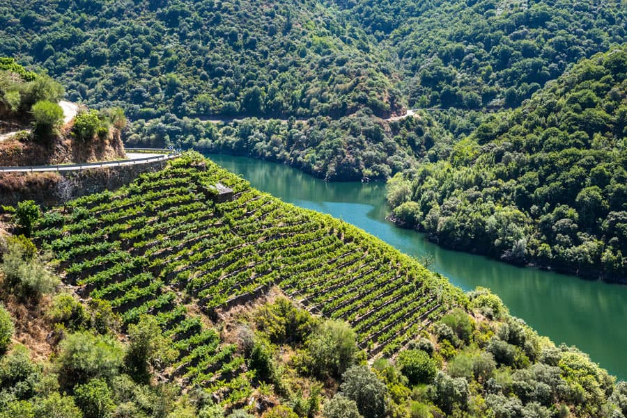 Elígenos si quieres comprar vino de una zona privilegiada
