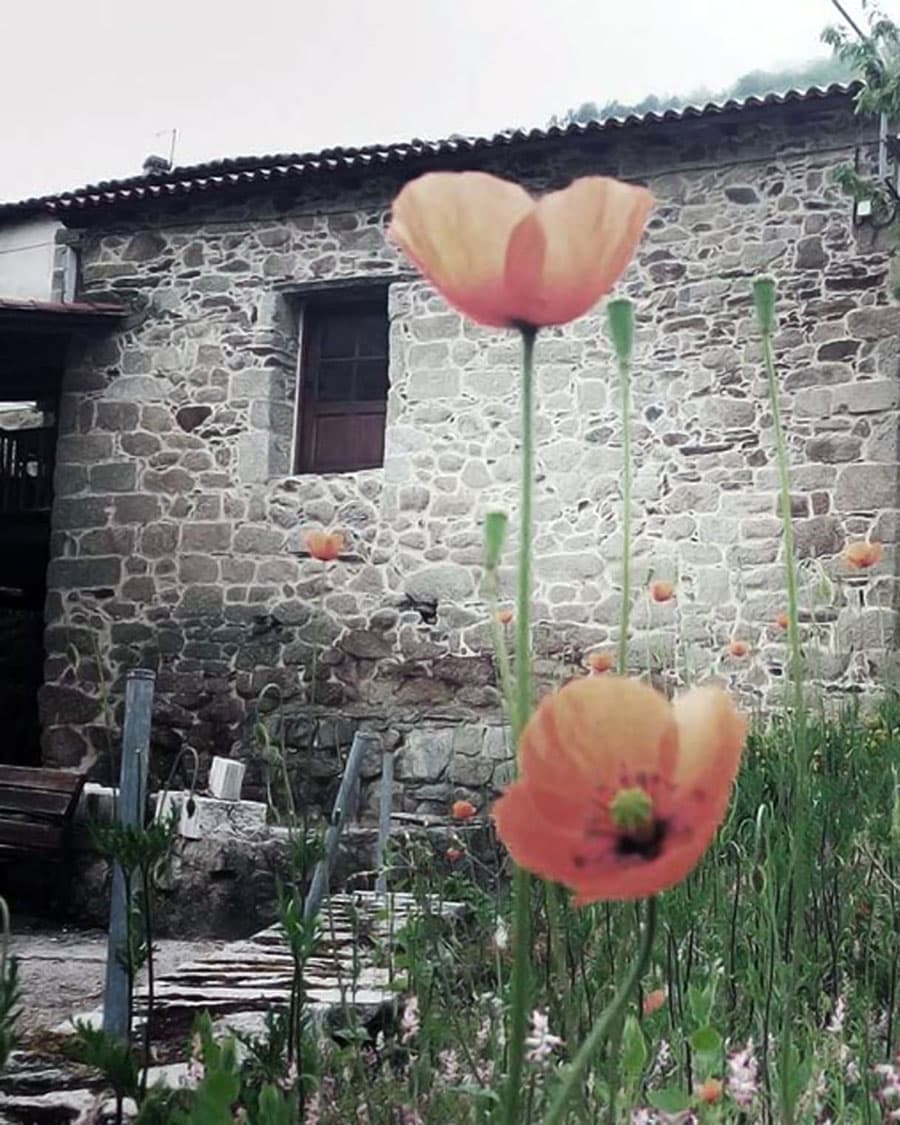 Visitar nuestra bodega te hará descubrir los encantos de la vinicultura