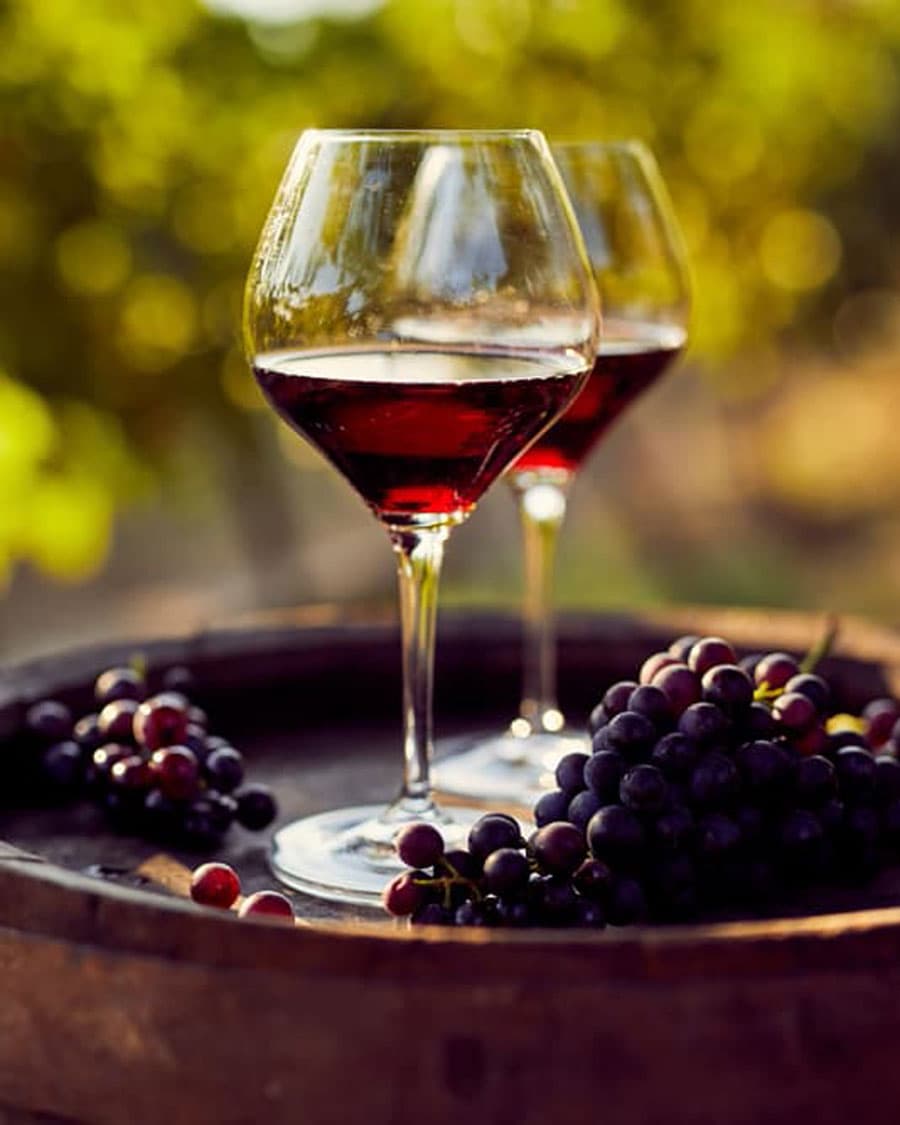 Visitar nuestra bodega te hará descubrir los encantos de la vinicultura