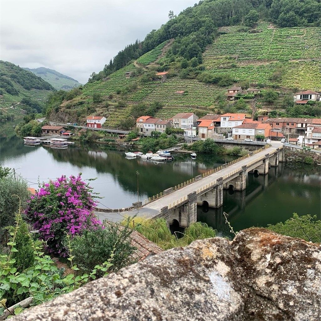 Los secretos del microclima de la Ribeira Sacra