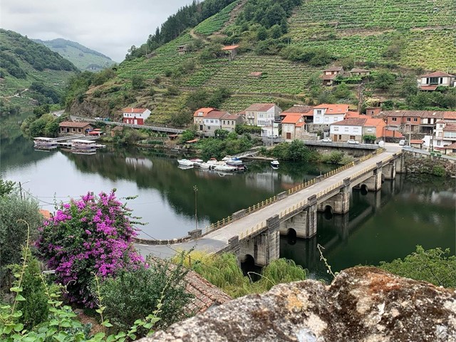 Los secretos del microclima de la Ribeira Sacra