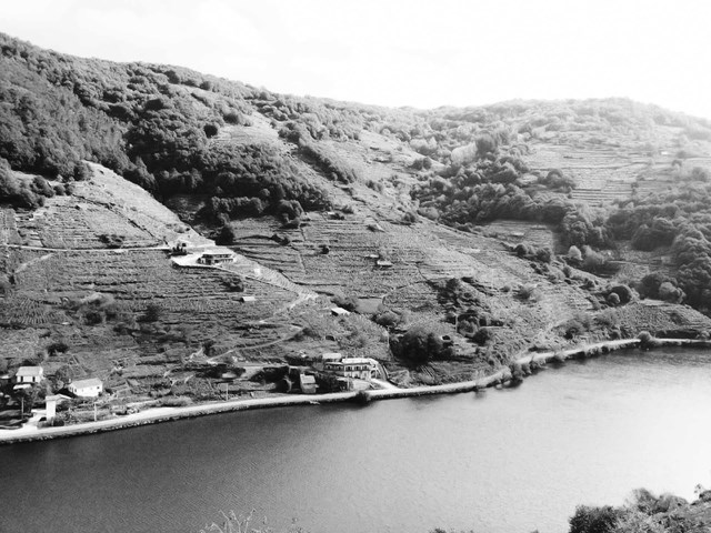 Ven a conocer nuestra bodega en la Ribeira Sacra