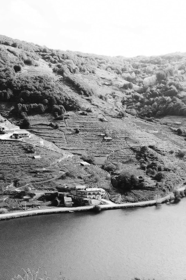 Ven a conocer nuestra bodega en la Ribeira Sacra